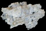 Blue and White Fibrous Chalcedony Formation - India #178445-2